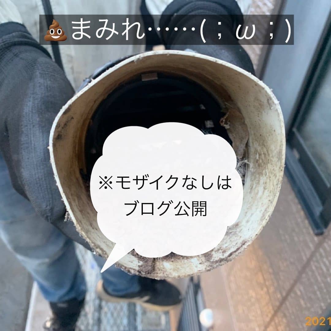 【2022年】ムコウダブログの人気記事5選