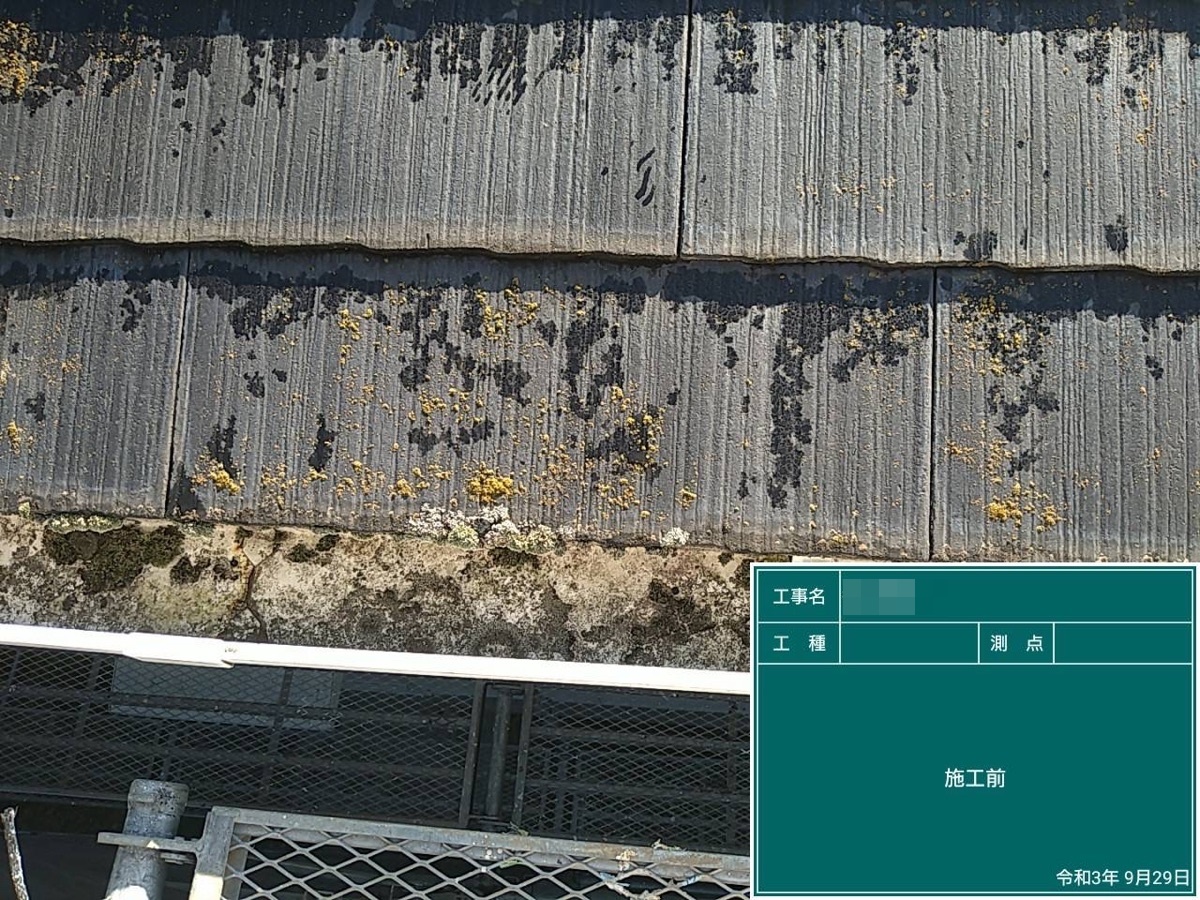 筑西市 Y様邸 優しいお色のツートンへ